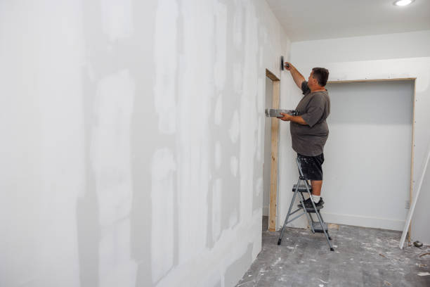 Best Mold Odor Removal Services  in Salem, AR