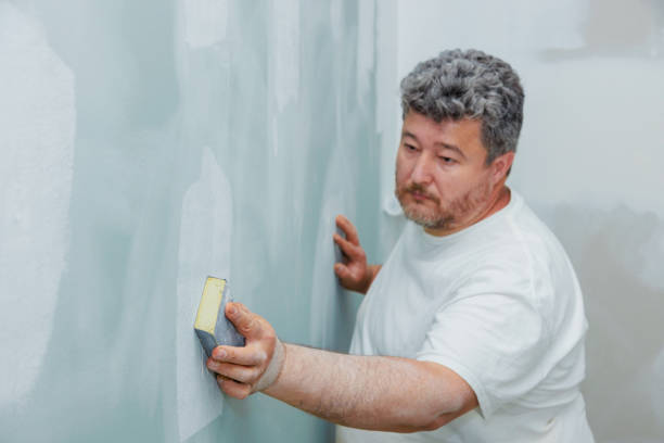 Best Mold Remediation for Healthcare Facilities  in Salem, AR