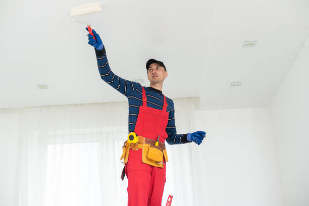Best Post-Construction Mold Inspection  in Salem, AR