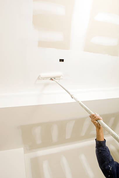 Best Emergency Mold Remediation  in Salem, AR