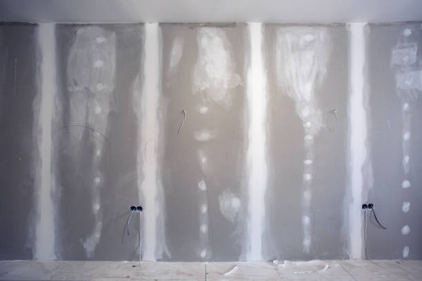 Best Air Quality Testing for Mold Spores  in Salem, AR